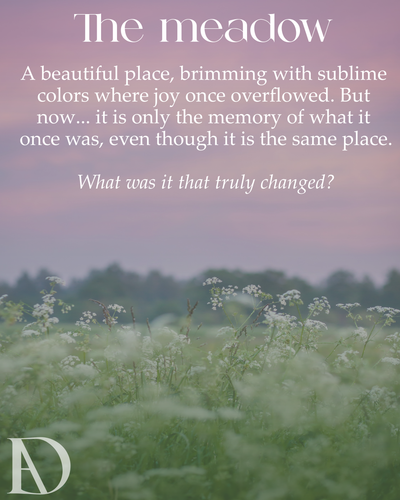 THE MEADOW.png