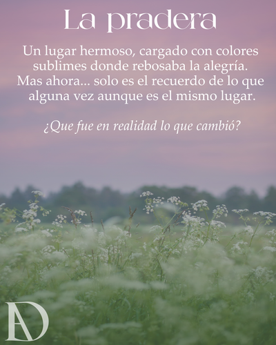 LA PRADERA.png
