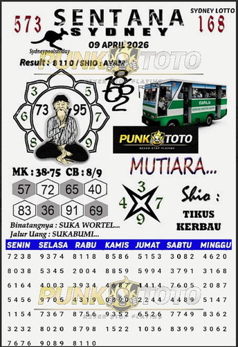 a8.jpg