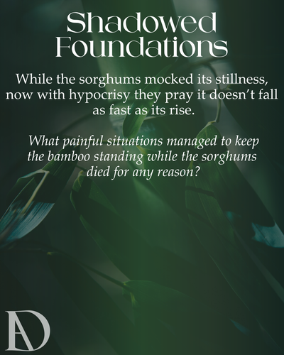 SHADOWED FOUNDATIONS.png