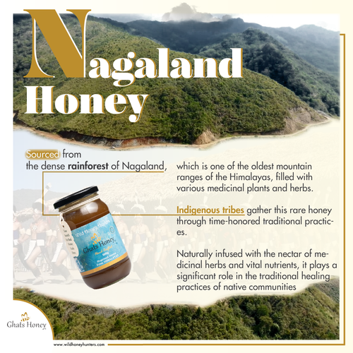 What is Nagaland honey and its benefits?.png