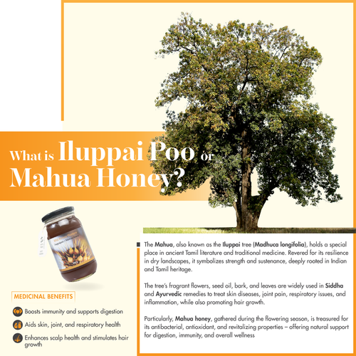 What is Iluppai poo or Mahua Honey and its benefits?.png