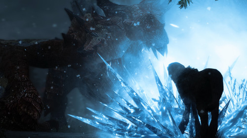 crazy barbas 15952851713 o.jpg