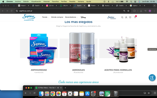 Captura de pantalla 2026 04 09 a la(s) 03.58.06.png