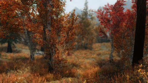 continue to adjust the sparrow enb 0272 19178085300 o.png