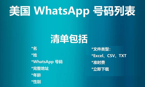 USA WhatsApp Number List.jpg