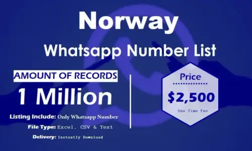 Norway Whatsapp Number List 768x461.webp