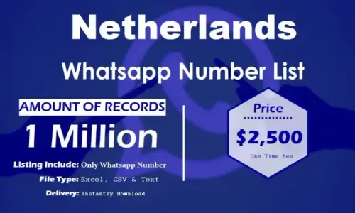 Netherlands Whatsapp Number List 768x461.webp