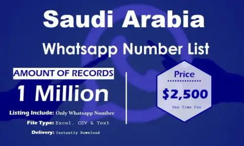 Saudi Arabia Whatsapp Number List 768x461.webp