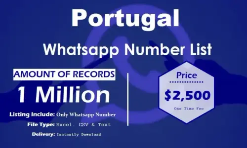 Portugal Whatsapp Number List 768x461.webp