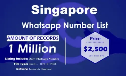 Singapore Whatsapp Number List 768x461.webp