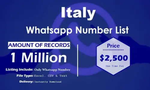 Italy Whatsapp Number List 768x461.webp