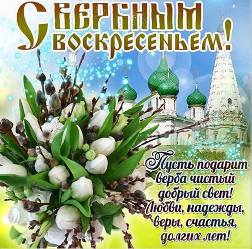 141c05cc6d6ec2b126cead86a4cab9ed.jpg
