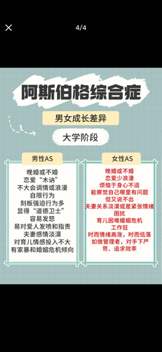 IMG 0240.png