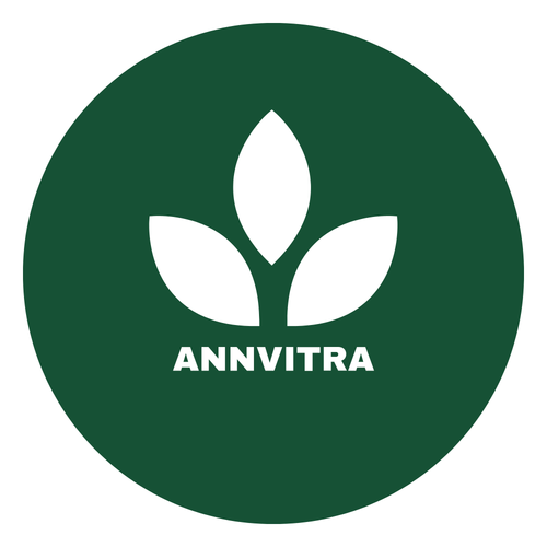 ANNVITRA LOGO (2).png