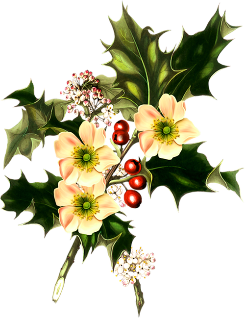 element 001ef (1).png