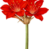 element 001ef (7).png