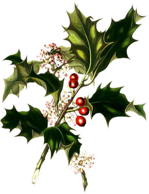 element 001ef (6).png