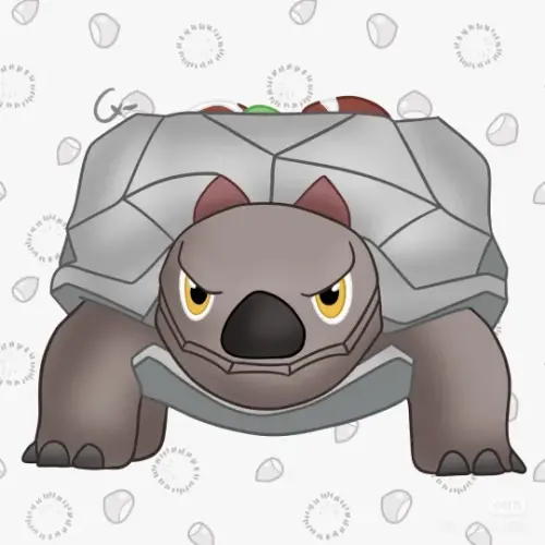 12.webp