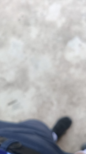 019318d77b18.jpg