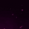 10767.gif