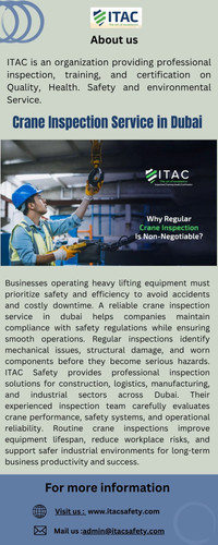 Professional Crane Inspection Service in Dubai for Industrial Safety.jpg