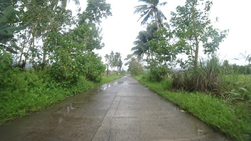 655f70f30e06.jpg