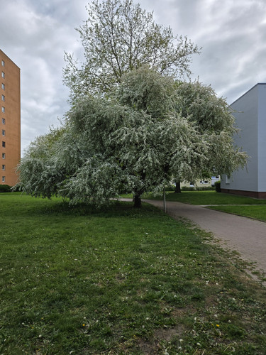 20260511 171817.jpg