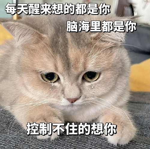 mmexport1773881371761.jpg
