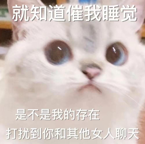 mmexport1773881421016.jpg