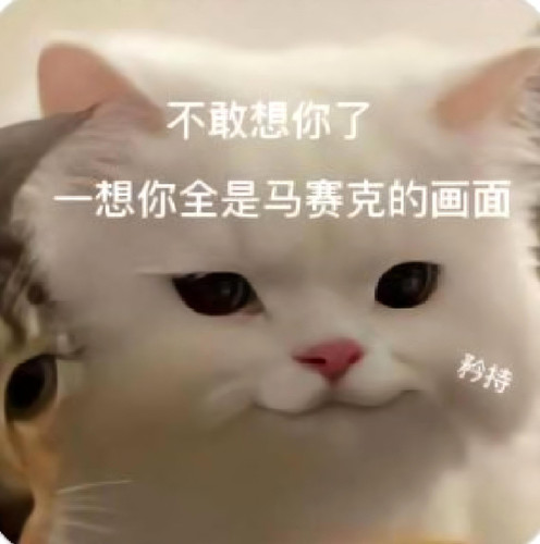 mmexport1773881371516.jpg