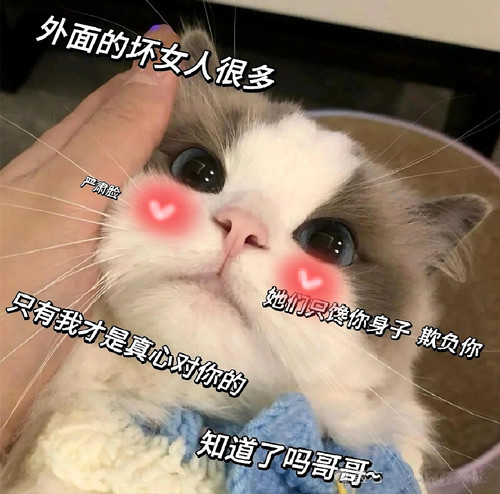 mmexport1773881371662.jpg