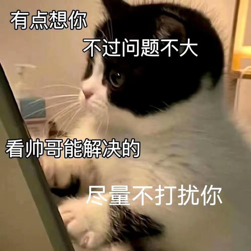 mmexport1773881420986.jpg
