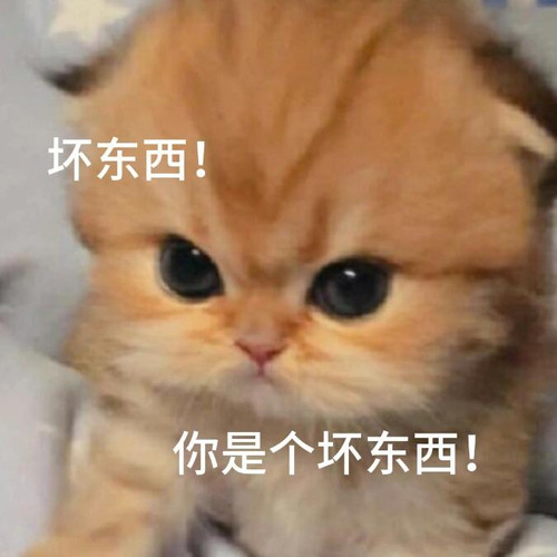 mmexport1773881539861.jpg