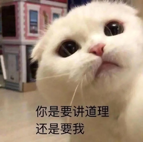 mmexport1773881371558.jpg