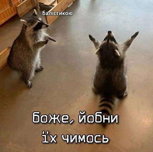 nCSCwuSA9GmhMowCzqMClUmB5qaNhU5G1lQw Lc im33Ai6sfk PALKdZ7OkEZa4KiY6N6uV5cDJTRabOQvd7jL6IyETdRsJf1fj.jpg