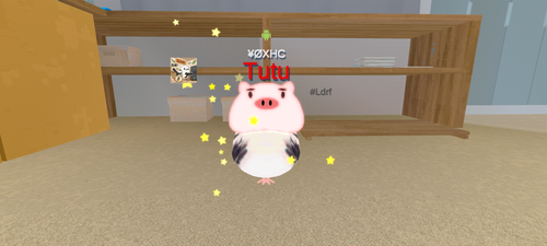 imagen.png