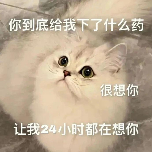 mmexport1773881467775.jpg