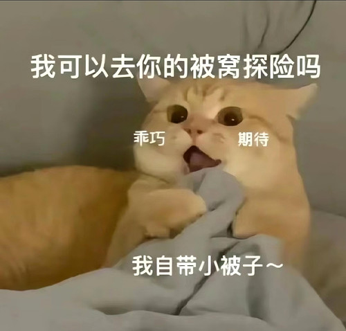 mmexport1773881371389.jpg