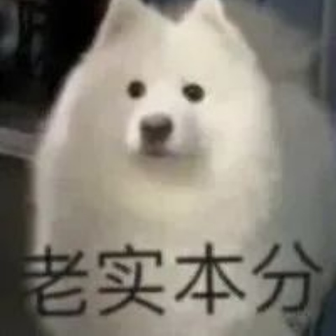 1688173362196.jpg
