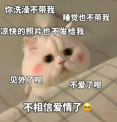 mmexport1773881345155.jpg