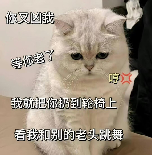 mmexport1773881345214.jpg