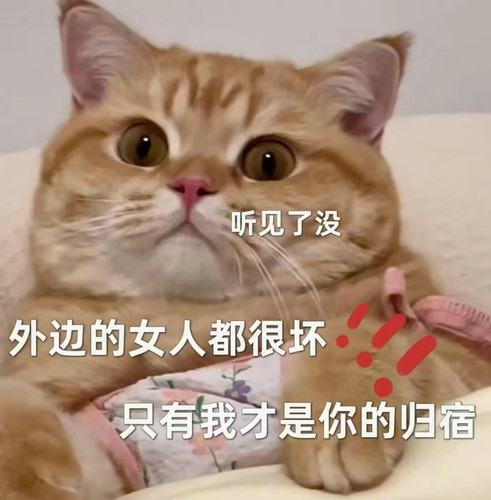 mmexport1773881345243.jpg