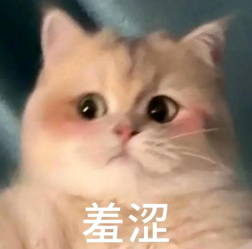 mmexport1773881371360.jpg