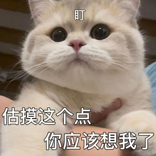 mmexport1773881317416.jpg