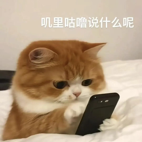 mmexport1773881262081.jpg