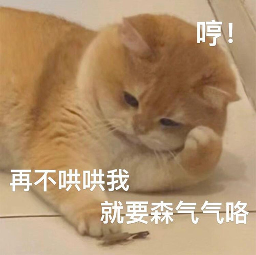 mmexport1773881297907.jpg