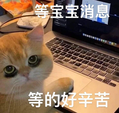 mmexport1773881297946.jpg