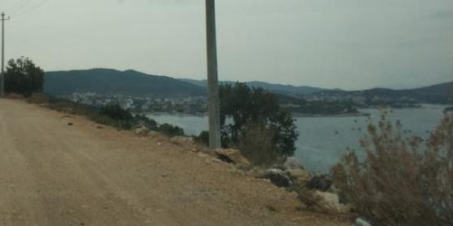 bay.jpg