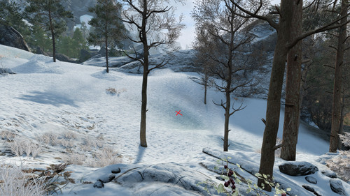 1. snow.jpg
